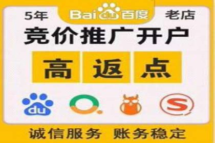 SEM服务公司成功案例解读